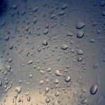 Warum jede Handlung eine Wette ist