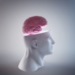 Ist das Geheimnis menschlichen Denkens enthüllt?