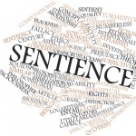 Vom Mittel zum Zweck – Pathozentrismus und Sentientismus